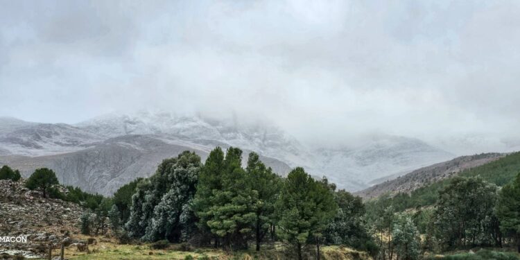 Como lo anticipamos: Nevó en las Sierras de Ventania