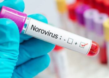 Qué es el norovirus, la enfermedad que afectó a 180 estudiantes en Bariloche