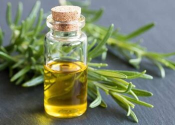 Por qué se toma caña con ruda el 1 de agosto