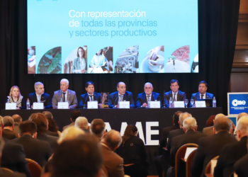 CAME planteó a Francos políticas laborales e impositivas diferenciales para las pymes