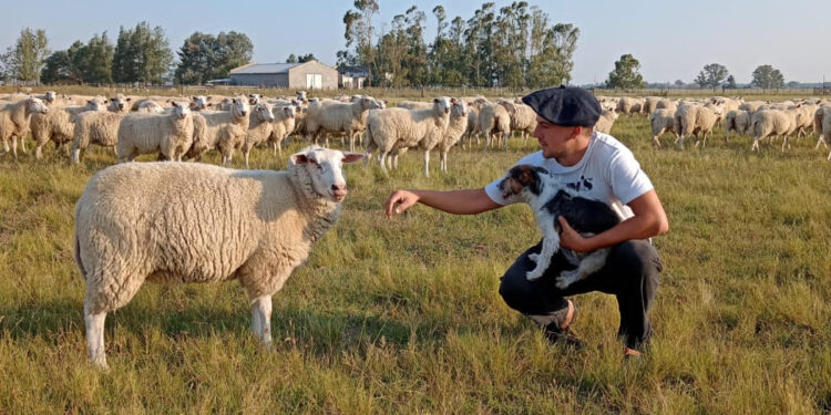 El secreto detrás de los chorizos de cordero más famosos de Tapalqué»