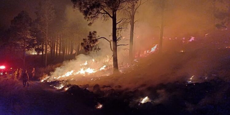 Incendios en Córdoba: “Ayer por suerte por fin llegaron los aviones hidrantes”