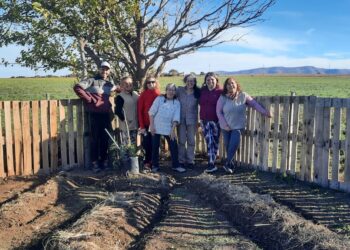 Lanzan una nueva capacitación de huertas agroecológicas colaborativas.