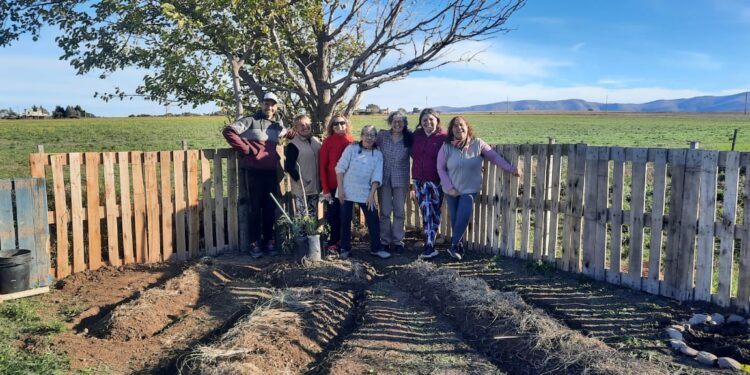 Lanzan una nueva capacitación de huertas agroecológicas colaborativas.