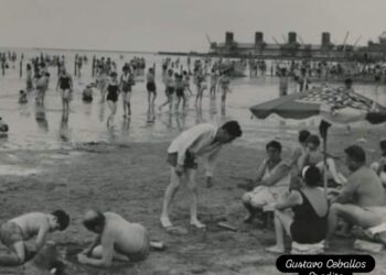 El gran simulacro ambientalista. Una Reserva Natural en peligro