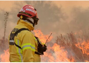 Continúan activos cuatro focos de incendio en Córdoba