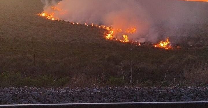 Bomberos trabajan por incendio en Tres Picos.