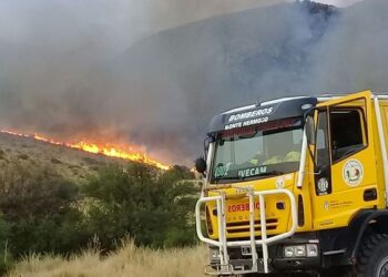Martín Hagg: “Ya estamos trabajando en corta fuegos”