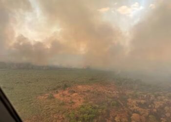 Qué es la “lluvia negra”, el fenómeno que se espera afecte a la Argentina