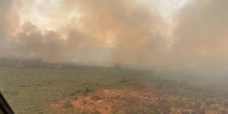 Qué es la “lluvia negra”, el fenómeno que se espera afecte a la Argentina