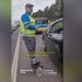 Un banquinero fue sancionado por la ANSV y provocó la celebración de otros conductores