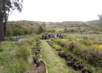 Franco Bostal: “Los esperamos a todos para disfrutar del Día de los Jardines Botánicos”