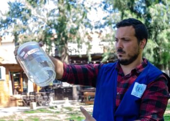 Dengue: Comisión Nacional de Energía Atómica inicia guerra de mosquitos contra mosquitos