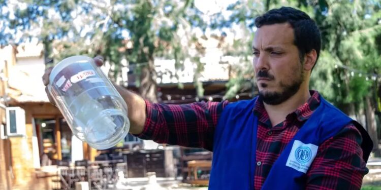 Dengue: Comisión Nacional de Energía Atómica inicia guerra de mosquitos contra mosquitos