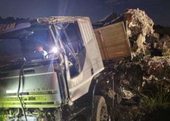 Un camión fuera de control casi termina en el Dique