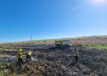 Bomberos trabajaron en un incendio forestal