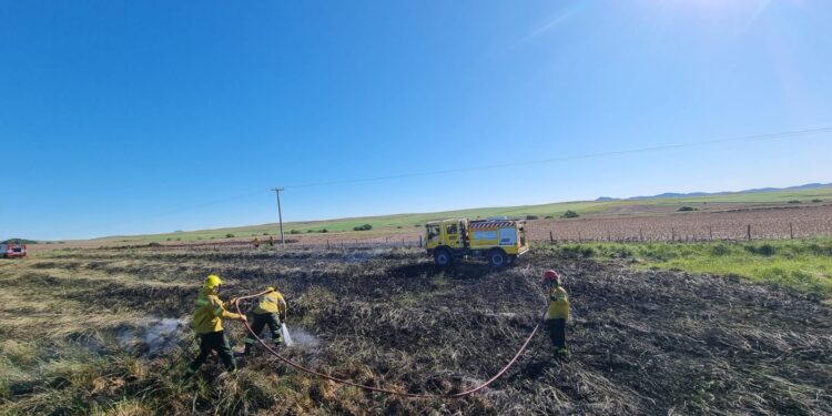 Bomberos trabajaron en un incendio forestal