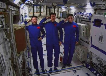 Semillas de olivo procedentes de una estación espacial de China germinan en la Tierra