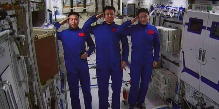 Semillas de olivo procedentes de una estación espacial de China germinan en la Tierra