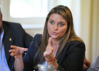 La senadora Neumann Losada alertó sobre el posible desmantelamiento del INTA