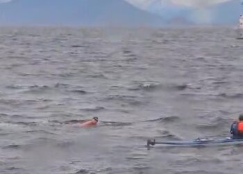 Nadar en el Beagle: Emoción inmensa en un hecho histórico con récord mundial.