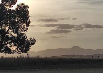 Después del alerta y la tormenta, el año termina caluroso e inestable.