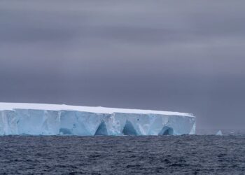 El iceberg más grande del mundo se desprendió y navega por el océano: qué impacto tendrá