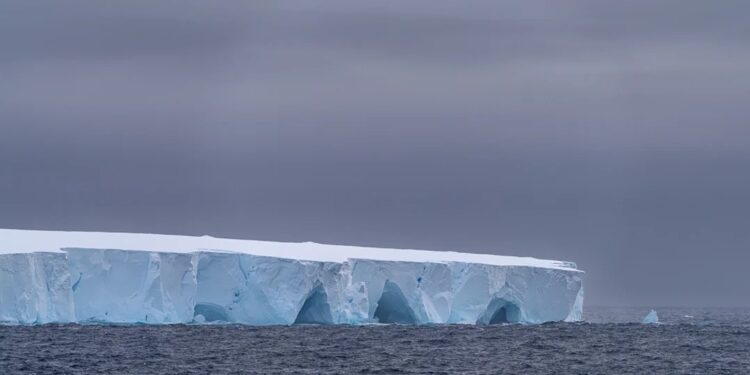 El iceberg más grande del mundo se desprendió y navega por el océano: qué impacto tendrá