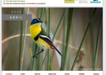 Calendario Ambiental 2025: Una ingeniosa forma de tener el año nuevo con aves serranas.