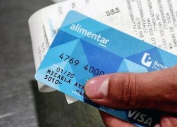 ANSES: lo que tenés que saber de la Tarjeta Alimentar 2025