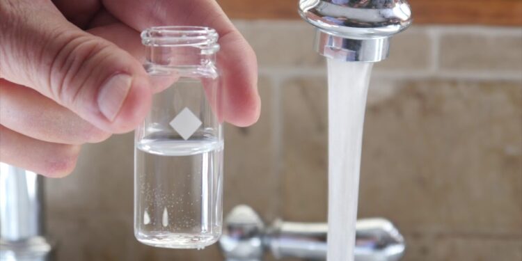 Sol Waimann: «estamos hablando de un abandono, ¿no?, Sobre Villa Arcadia y sobre los habitantes que estamos ahí.»