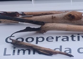 El temporal ocasionó un corte de energía en la zona serrana