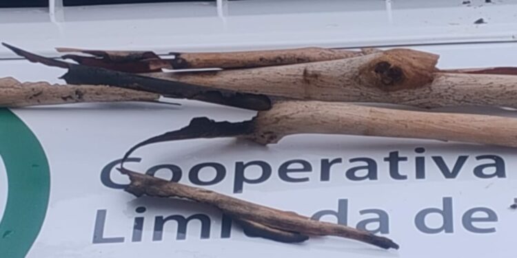 El temporal ocasionó un corte de energía en la zona serrana