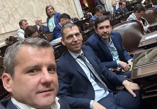 UCR: los diputados «peluca» seguirán en el bloque radical pese a ser expulsados por el Tribunal de Ética