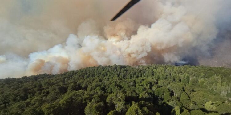 El fuego ya consumió casi 1.500 hectáreas en Bariloche