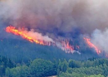 Sigue el incendio forestal en Epuyén y ya se quemaron más de 3 mil hectáreas