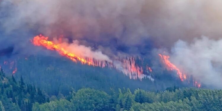 Sigue el incendio forestal en Epuyén y ya se quemaron más de 3 mil hectáreas