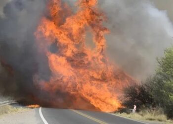 Dramática advertencia sobre los incendios en Nahuel Huapi: se tardará más de tres meses en detenerlos