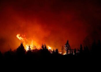 Dramática advertencia sobre los incendios en Nahuel Huapi: se tardará más de tres meses en detenerlos