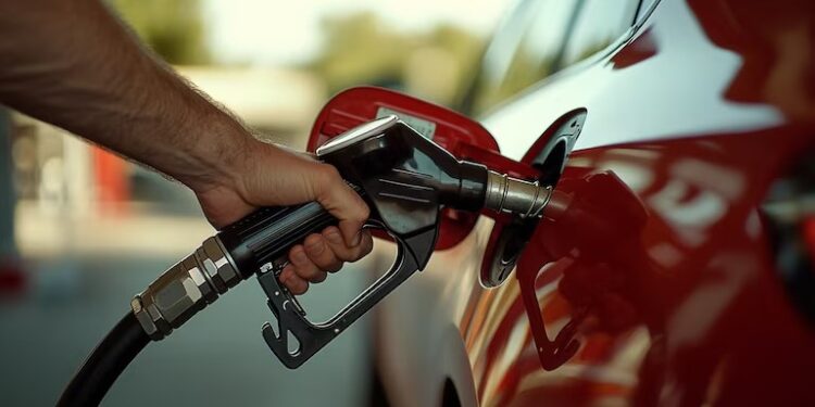 El Gobierno autorizó el autodespacho de combustible: cómo funcionará el sistema