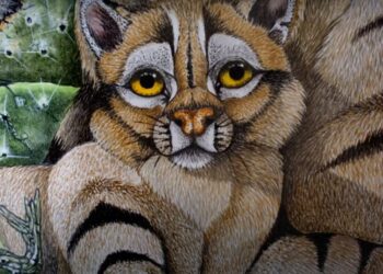 Cumple y arte en Saldungaray