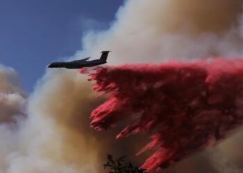 Ya son 24 los muertos por los incendios forestales de Los Ángeles