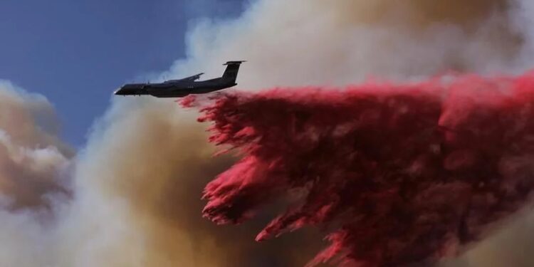 Ya son 24 los muertos por los incendios forestales de Los Ángeles