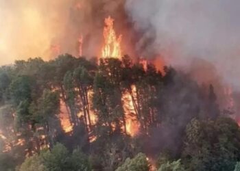 Incendios en la Patagonia: ya son 2.122 las hectáreas arrasadas por el fuego en el Parque Nacional Nahuel Huapi