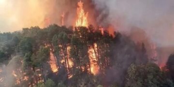 Incendios en la Patagonia: ya son 2.122 las hectáreas arrasadas por el fuego en el Parque Nacional Nahuel Huapi