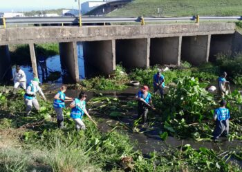 Cooperativa de Trabajo Las Colinas Ltda.: 140 trabajadores dedicados al saneamiento de arroyos en la provincia de Buenos Aires