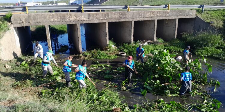 Cooperativa de Trabajo Las Colinas Ltda.: 140 trabajadores dedicados al saneamiento de arroyos en la provincia de Buenos Aires