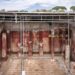 Impresionante hallazgo en Pompeya: una sala de banquetes con un enorme fresco dionisíaco