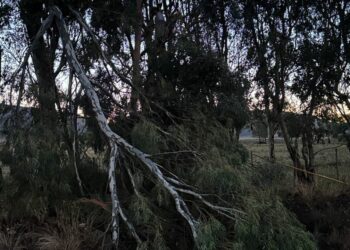 El temporal causó inconvenientes en el sector rural