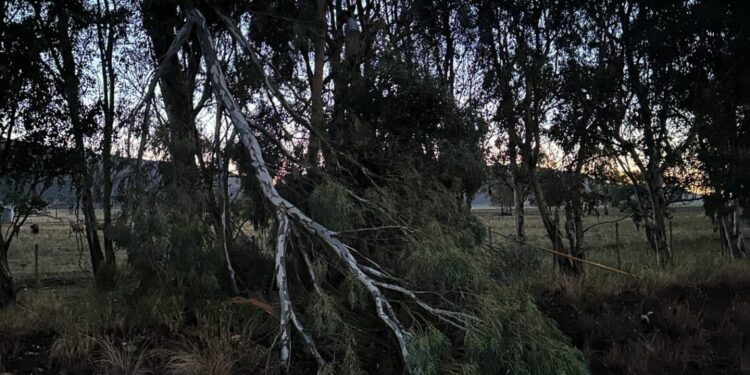 El temporal causó inconvenientes en el sector rural